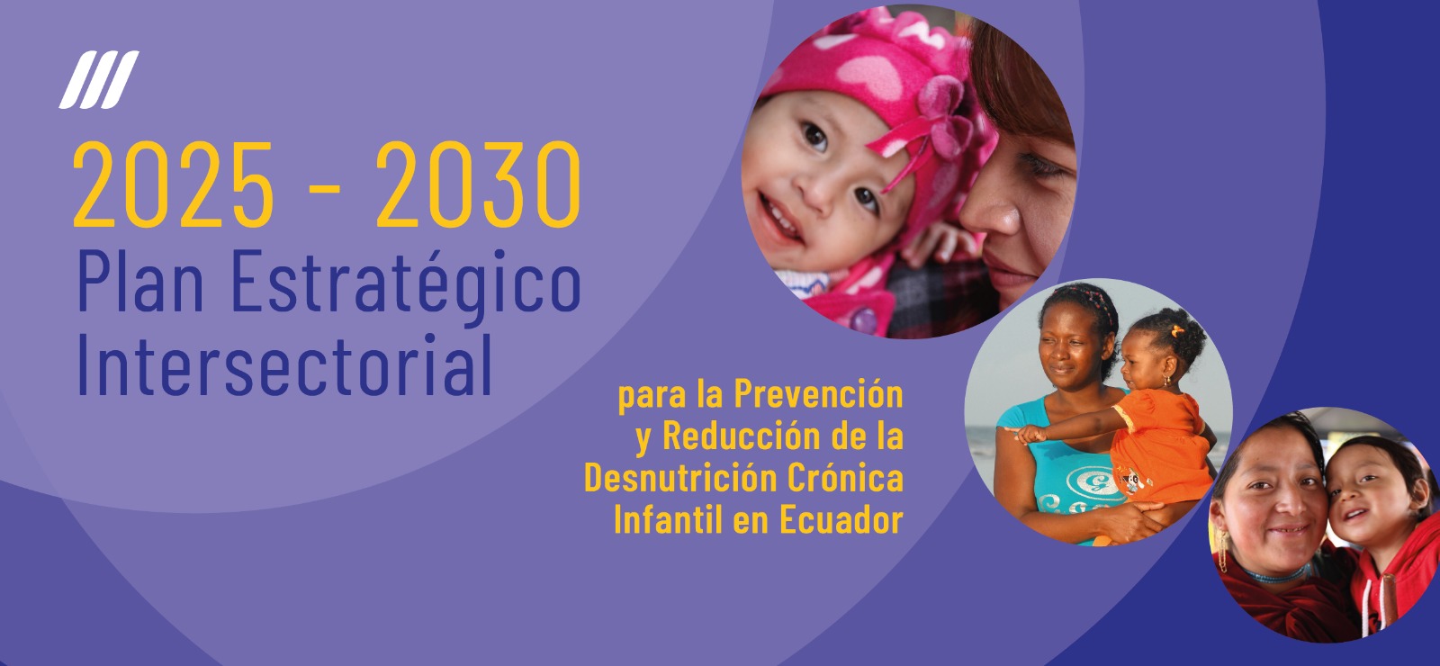 Plan Estratégico Intersectorial  para la Prevención y Reducción de la Desnutrición Crónica Infantil en Ecuador
